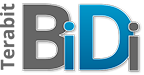 Terabit BiDi MSA logo